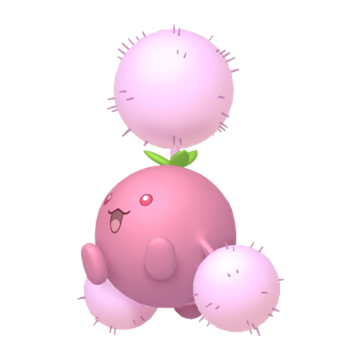 Cotovol Chromatique