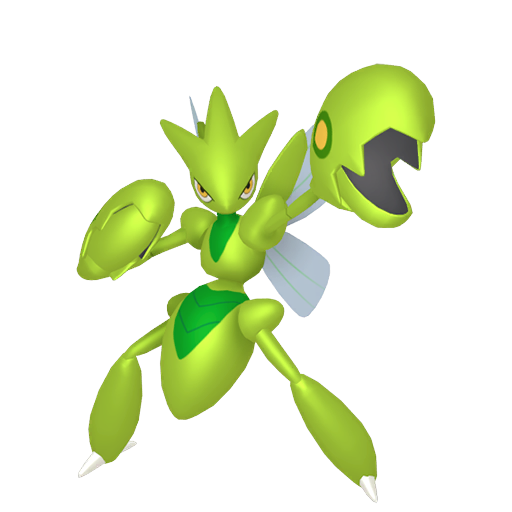 Cizayox Femelle Chromatique