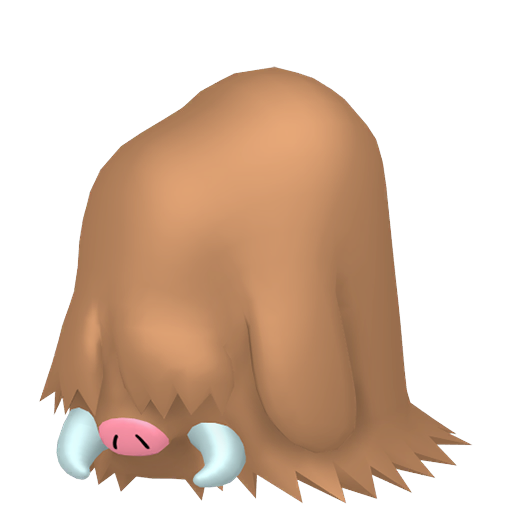 Cochignon Femelle