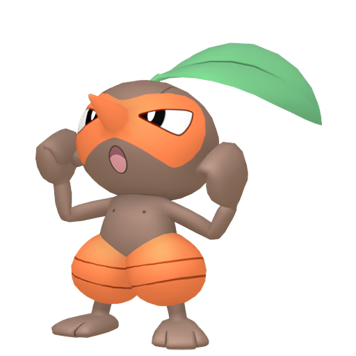 Pifeuil Mâle Chromatique