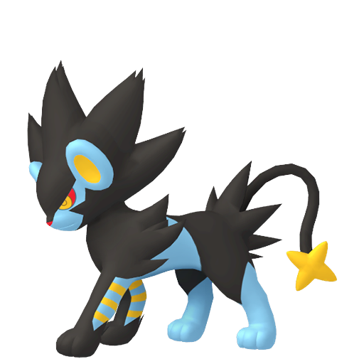 Luxray Mâle
