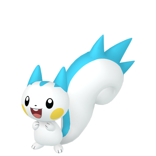 Pachirisu Femelle