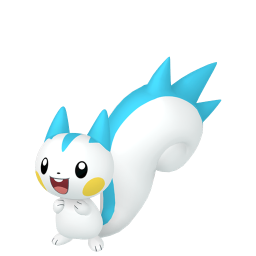 Pachirisu Mâle