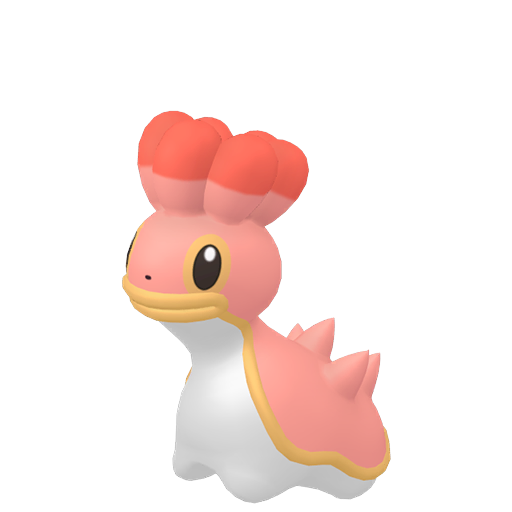 Sancoki Mer Occident Chromatique