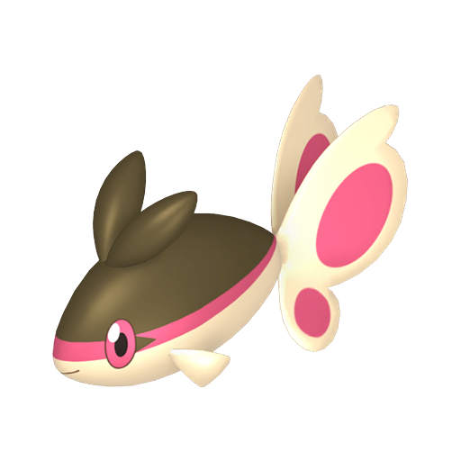 Écayon Femelle Chromatique