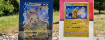 Display Frame Pokémon