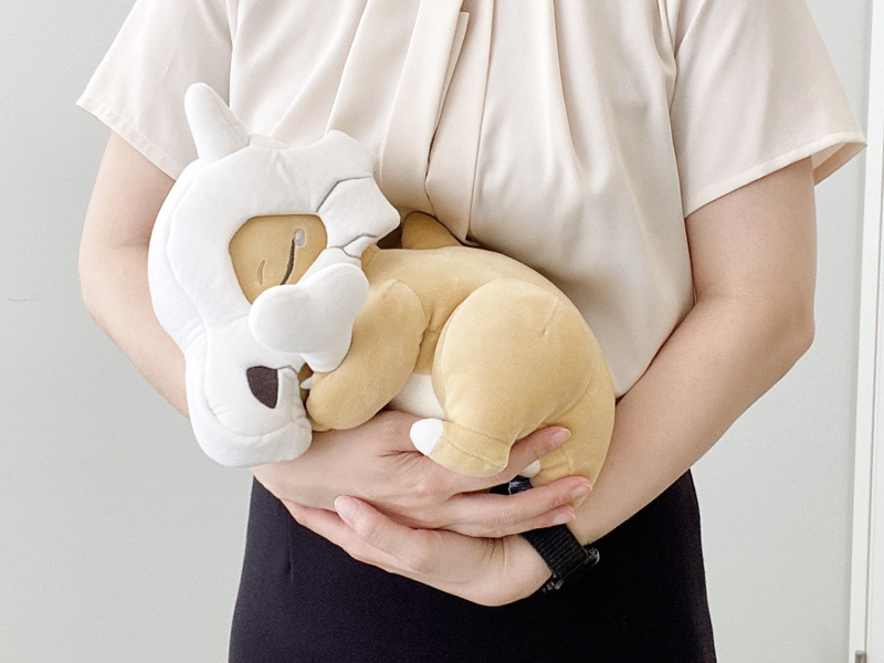 Collection de goodies Pokémon Sleep