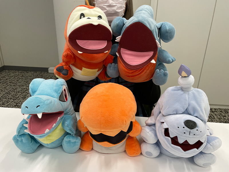 Collection Kamitsuki Pokémon
