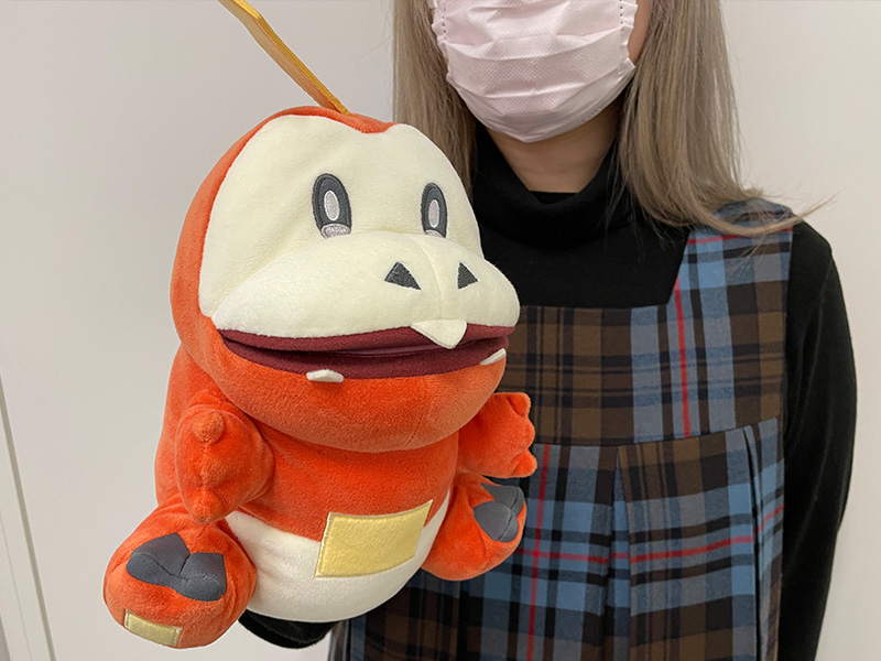 Collection Kamitsuki Pokémon