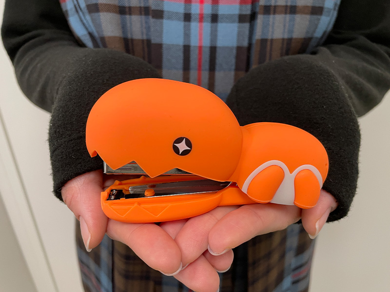 Collection Kamitsuki Pokémon