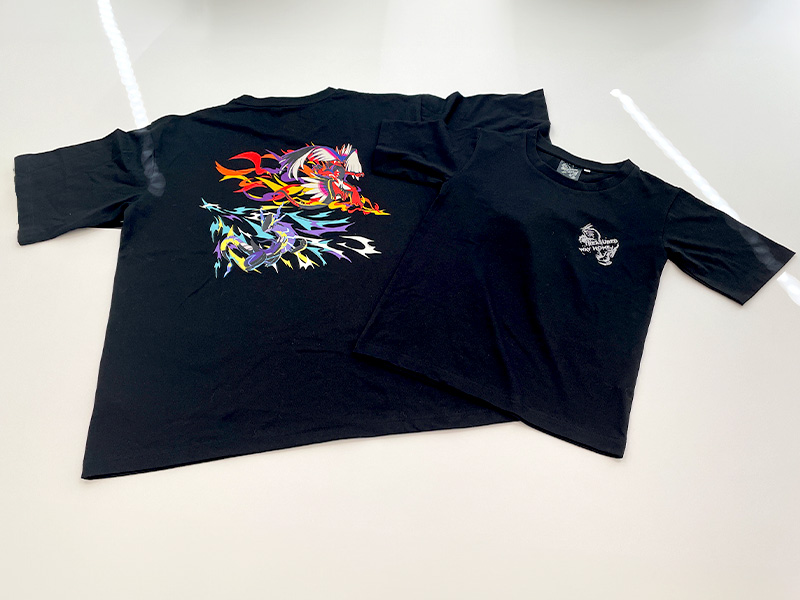 Collection Pokémon Center Treasured way home