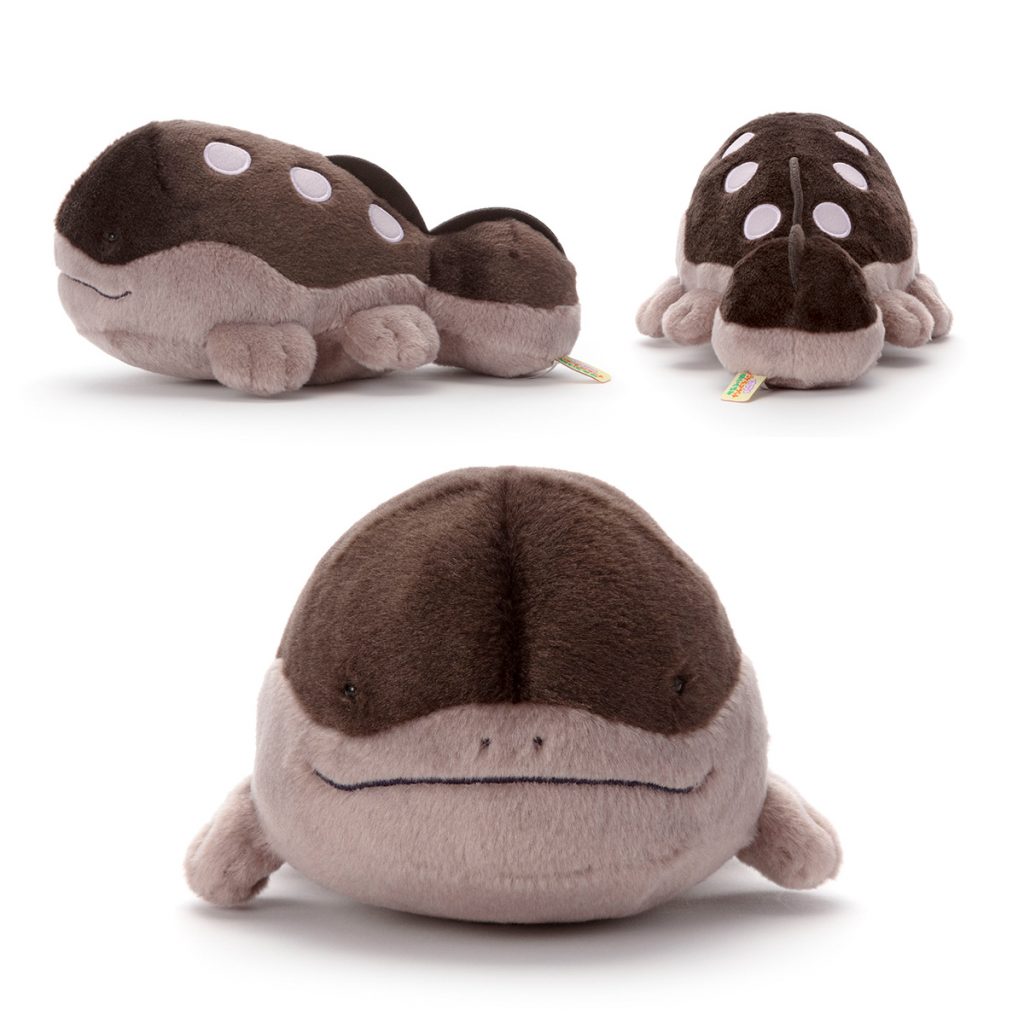 Collection Pokémon Je te choisis