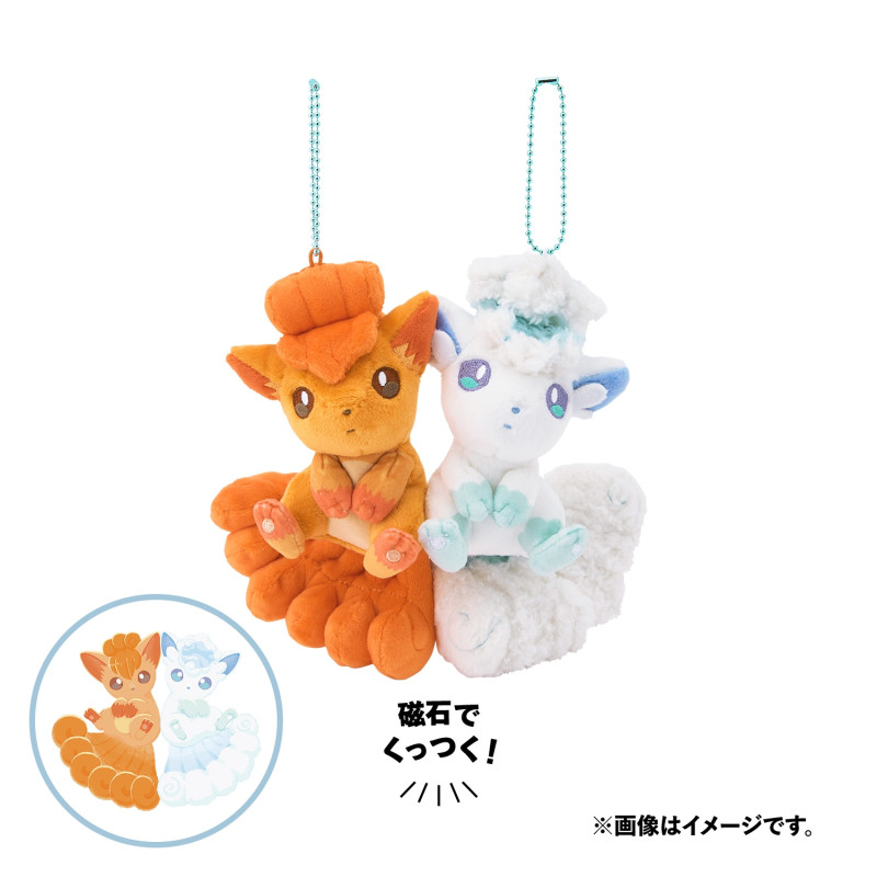 collection Pokémon Nitamono Doushi