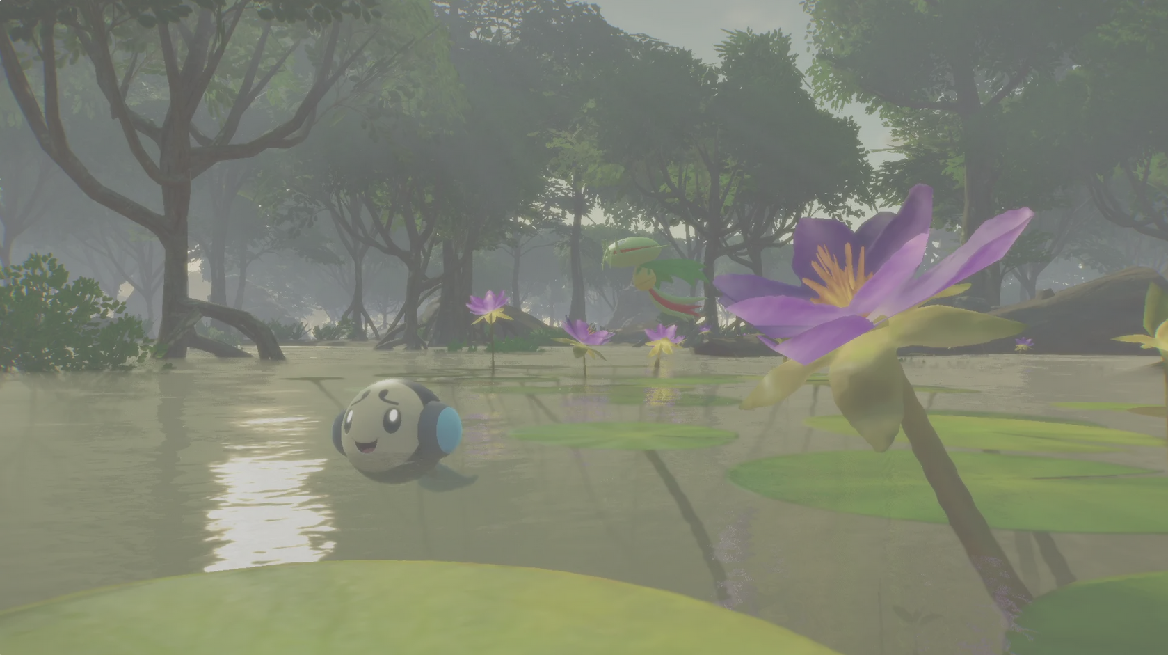 pokémon vents et pokémon vagues