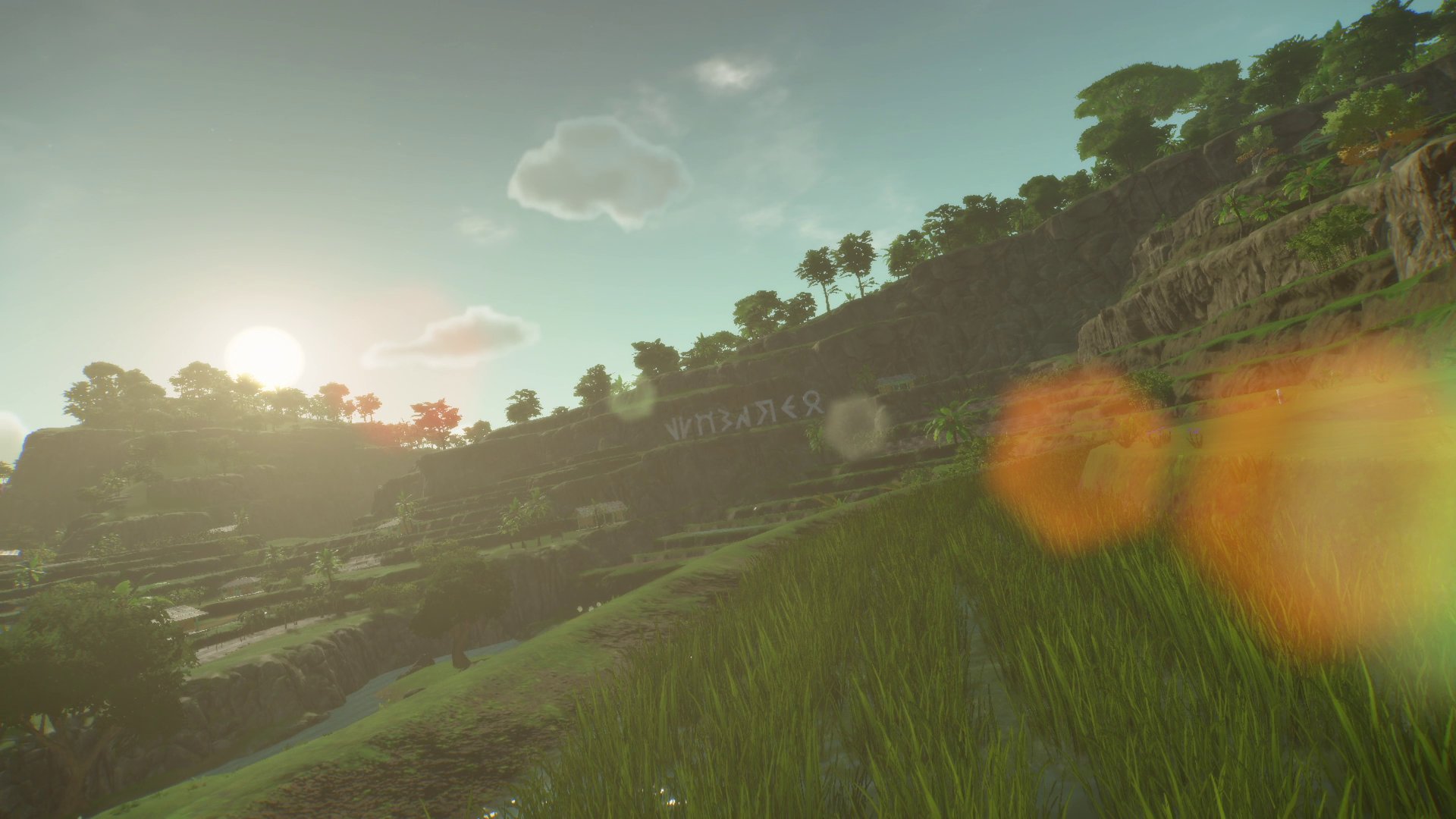 pokémon vents et pokémon vagues